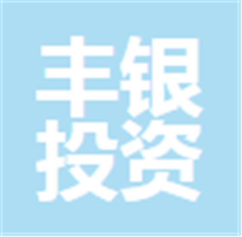 中山市丰银投资管理有限公司