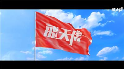 飞天虎MV