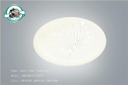 LMB3803万丈光芒
