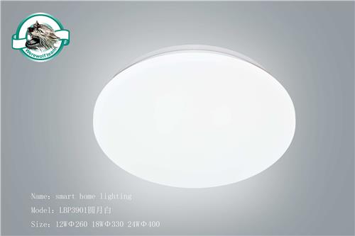 LBP3901-圆月白