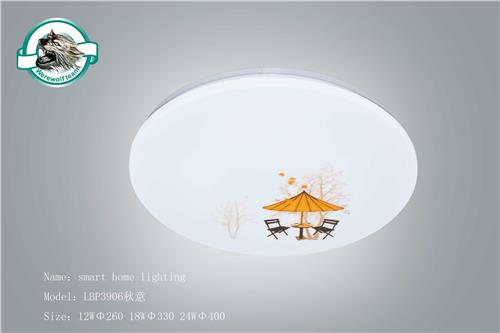 LBP3906秋意