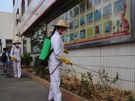 诚建除四害白蚁防治-夏季如何除“四害”