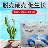 科學(xué)喂養(yǎng)，呵護(hù)對(duì)蝦腸道健康  飼料甲酸鈣活力多  