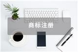 商标异议申请-打印不受理通知-结束
