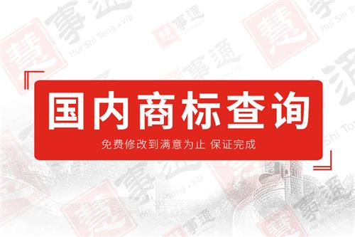 国内商标查询（报告）