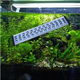 魚缸燈在魚缸中的作用究竟是什么？究竟需不需要添加魚缸燈具？
