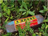 第二輪除“四害”開始啦！