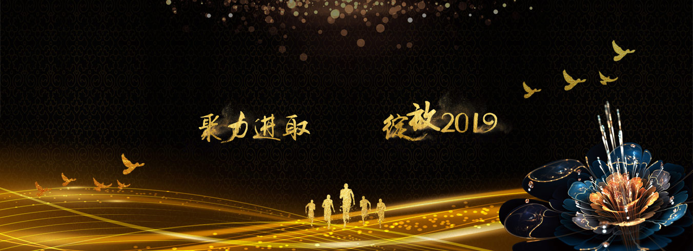“聚力進取，綻放2019”--邁雷特2019迎春晚會圓滿落幕！