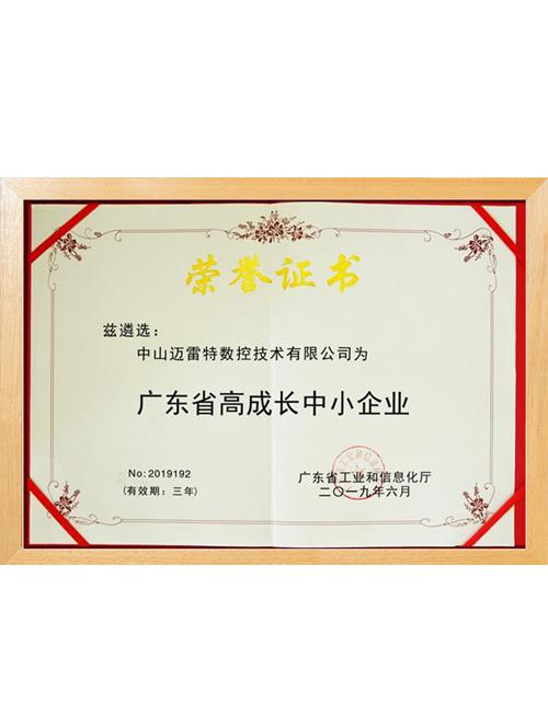 广东省高成长中小企业 证书