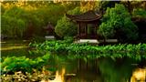 簡單分析|5分快3大小單雙wz口訣分享+蔻37448399