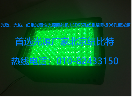  綠光LED96孔細胞培養板96孔板光源