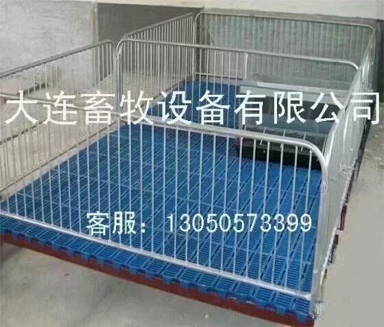 大連仔豬保育床塑料漏糞地板 仔豬電熱板仔豬保溫箱 仔豬保育床漏糞地板