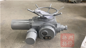 揚(yáng)修電力95典設(shè)電動執(zhí)行器DZW120-24-A00-DSI戶外型