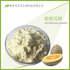 全水溶黑加侖果汁粉 口感好SC源頭廠家直供 黑加侖提取物 壹貝子黑加侖粉
