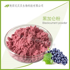 全水溶紅豆粉 口感好營(yíng)養(yǎng)豐富SC源頭廠家直供  壹貝子紅豆?jié)饪s粉