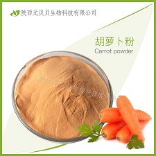 壹貝子藍(lán)莓速溶汁粉 SC源頭廠家直供口感好營養(yǎng)豐富 全水溶藍(lán)莓粉