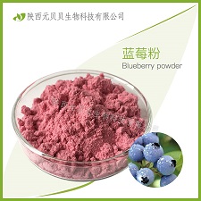 壹貝子藍(lán)莓速溶汁粉 SC源頭廠家直供口感好營養(yǎng)豐富 全水溶藍(lán)莓粉