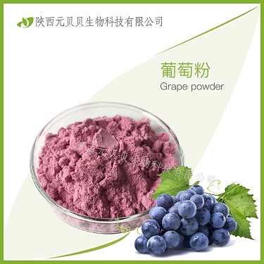 壹貝子SC源頭廠家現(xiàn)貨供應(yīng)優(yōu)質(zhì)葡萄籽粉  葡萄籽提取物原花青素