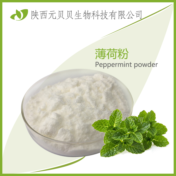 薄荷腦粉 壹貝子SC源頭廠家供應(yīng)牙膏壓片糖果 薄荷提取物 食用薄荷粉