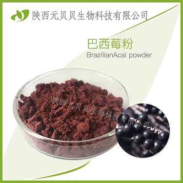 巴西莓果粉 口感濃郁SC源頭廠家直銷優(yōu)質(zhì)原料壹貝子巴西莓粉