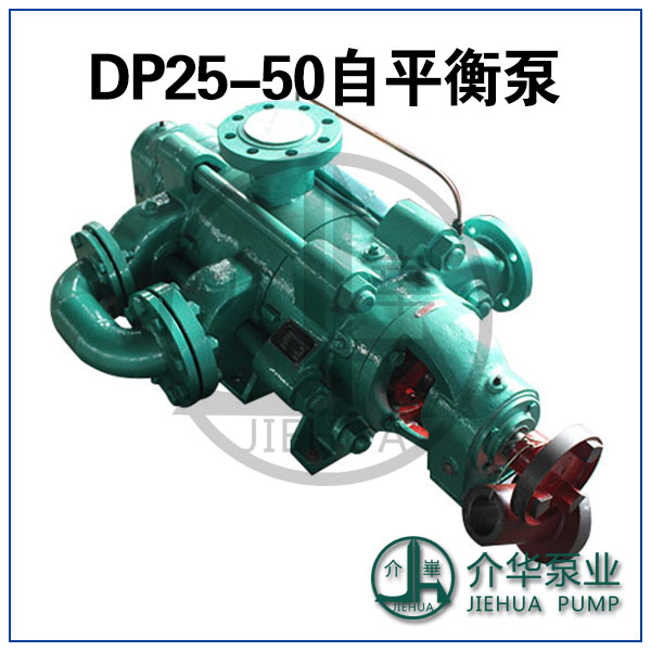 DP85-45X6 節(jié)能易維護 自平衡多級泵