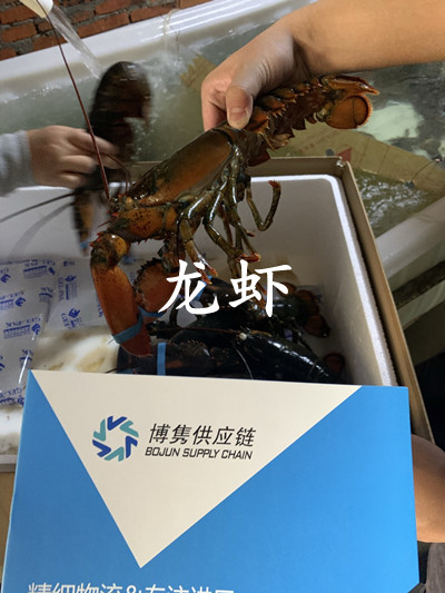 天津清關(guān)代理公司原始圖片3