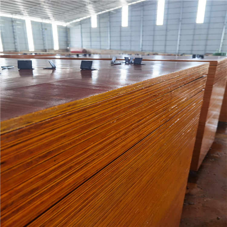 四川宜賓建筑模板  桉木模板原始圖片2
