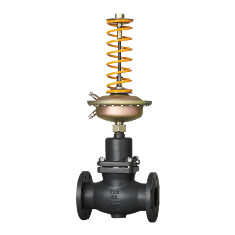 進(jìn)口自力式閥后壓力調(diào)節(jié)閥德國(guó)洛克zmpp