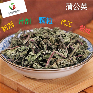 蒲公英丁香茶 袋泡茶代加工 代用茶貼牌oem 茶劑定制