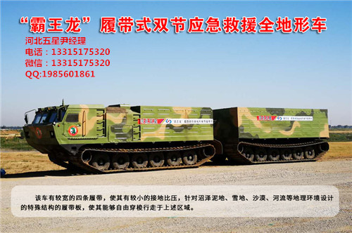 水陸兩棲履帶救援車_防汛搶險雙節履帶救援車