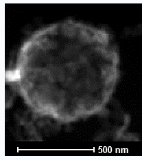 TEM/HRTEM/EDS/线扫/Mapping测试（JEM 2100F 高分辨透射电镜） 