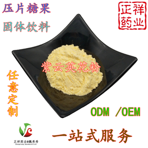 余甘子片代加工 各類壓片糖果OEM貼牌 片劑包衣 泡罩壓板 委托
