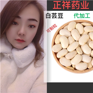 蘋果醋片 果蔬纖維酵素片 壓片糖果代加工 泡罩壓板 來料加工 貼牌
