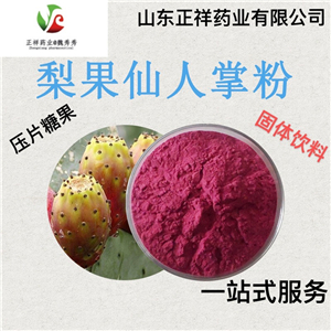 梨果仙人掌粉 固體飲料代加工 粉劑分裝灌裝 來料加工 背封三邊封原始圖片2