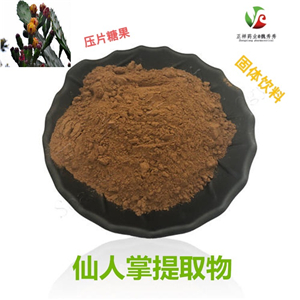 梨果仙人掌粉 固體飲料代加工 粉劑分裝灌裝 來料加工 背封三邊封原始圖片3