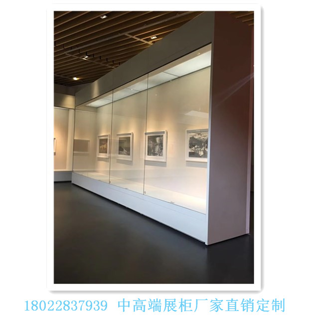 深圳博物館展柜公司供應(yīng)gd古董字畫藝術(shù)品展示高柜