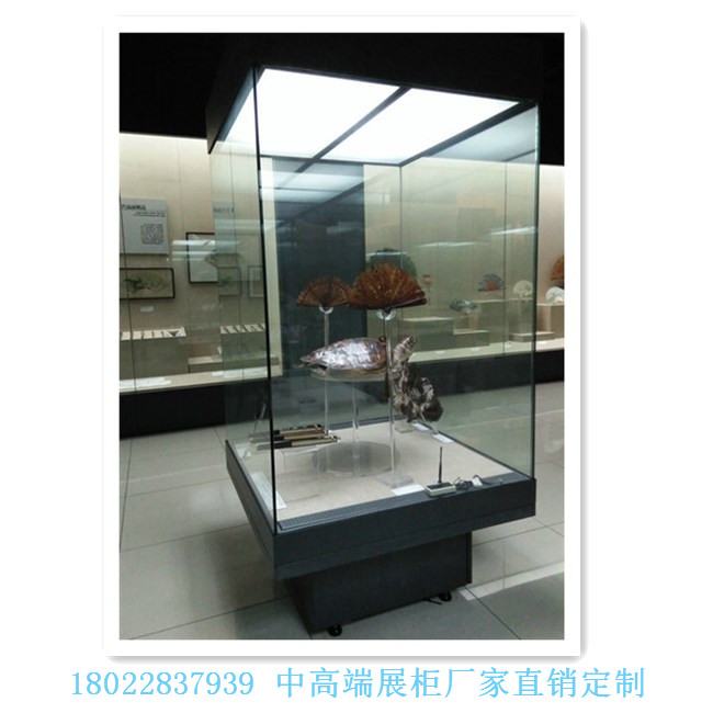 科技館展柜廠家供應(yīng)金屬烤漆異形博物館獨立展示柜