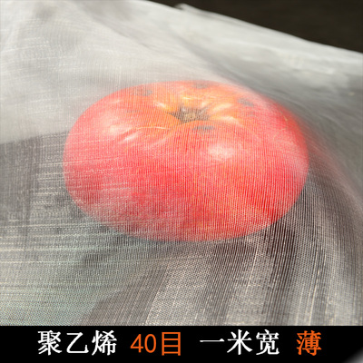 尼龍網(wǎng)紗乙烯過濾網(wǎng)包管打井紗防蟲防鳥網(wǎng)原始圖片3