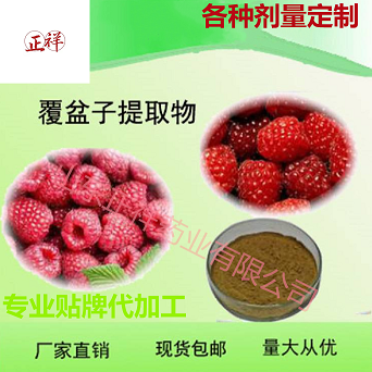 覆盆子粉 水溶性果粉 樹(shù)莓果粉 OEM 代加工 專(zhuān)業(yè)貼牌原始圖片3