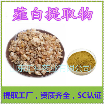 薤白粉 專業(yè)貼牌代加工 薤白提取物 規(guī)格10:1 小根蒜 小根菜粉 工廠直供 藥食同源