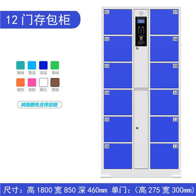 指纹存包柜 刷脸存包柜  储物柜