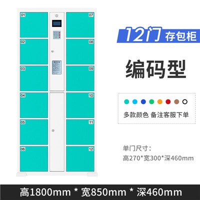 义亨直推 储存柜条码存包柜人脸识别型12门