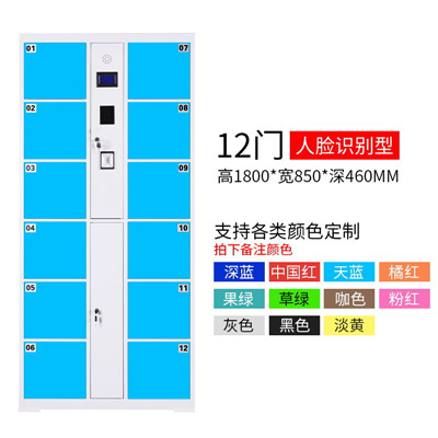 电子存包柜  存储柜 12门人脸识别存包柜