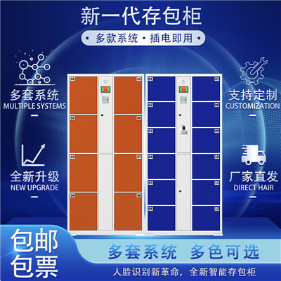 電子存包柜  存儲(chǔ)柜 12門人臉識(shí)別存包柜