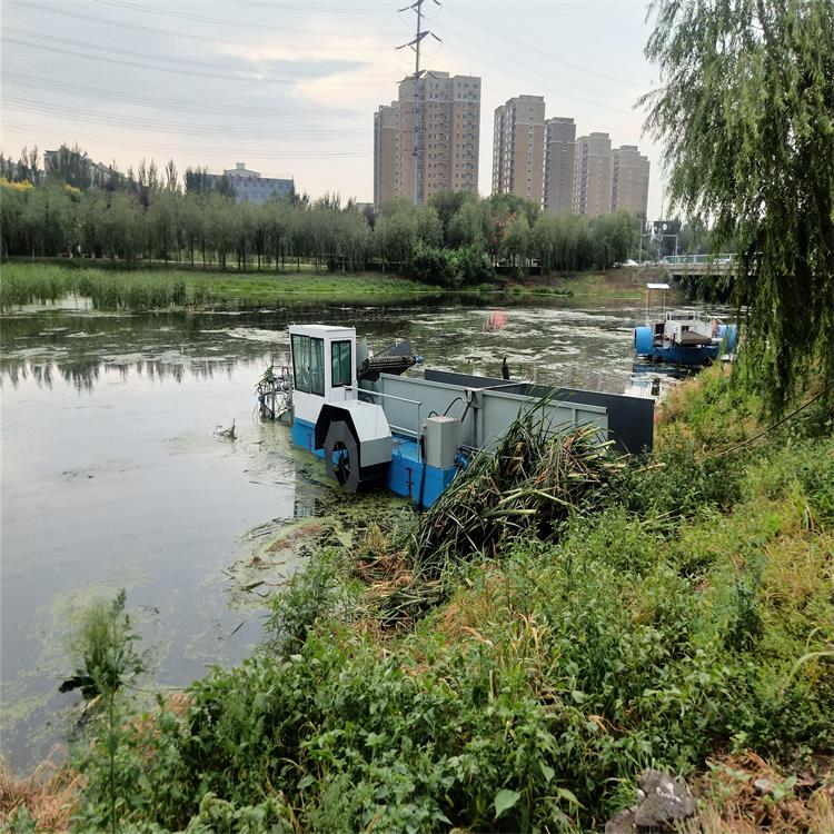 河道清淤船 河道除草船廠家 全自動(dòng)水葫蘆收割船 垃圾清漂船