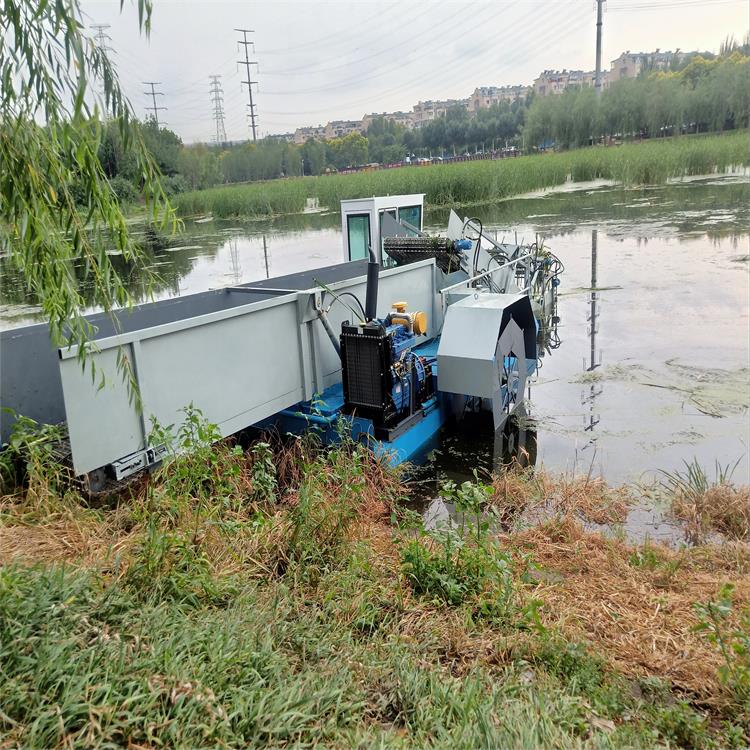 江苏水浮莲打捞船 全自动湖面清漂船 单体明轮水葫芦收割运输船