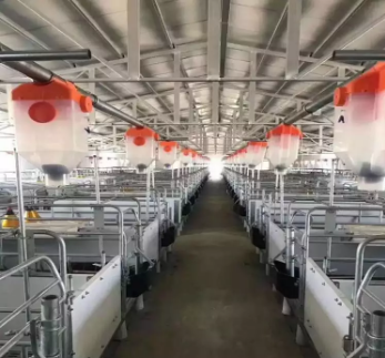 賽盤蛟龍料線料塔料線自動化輸送料線