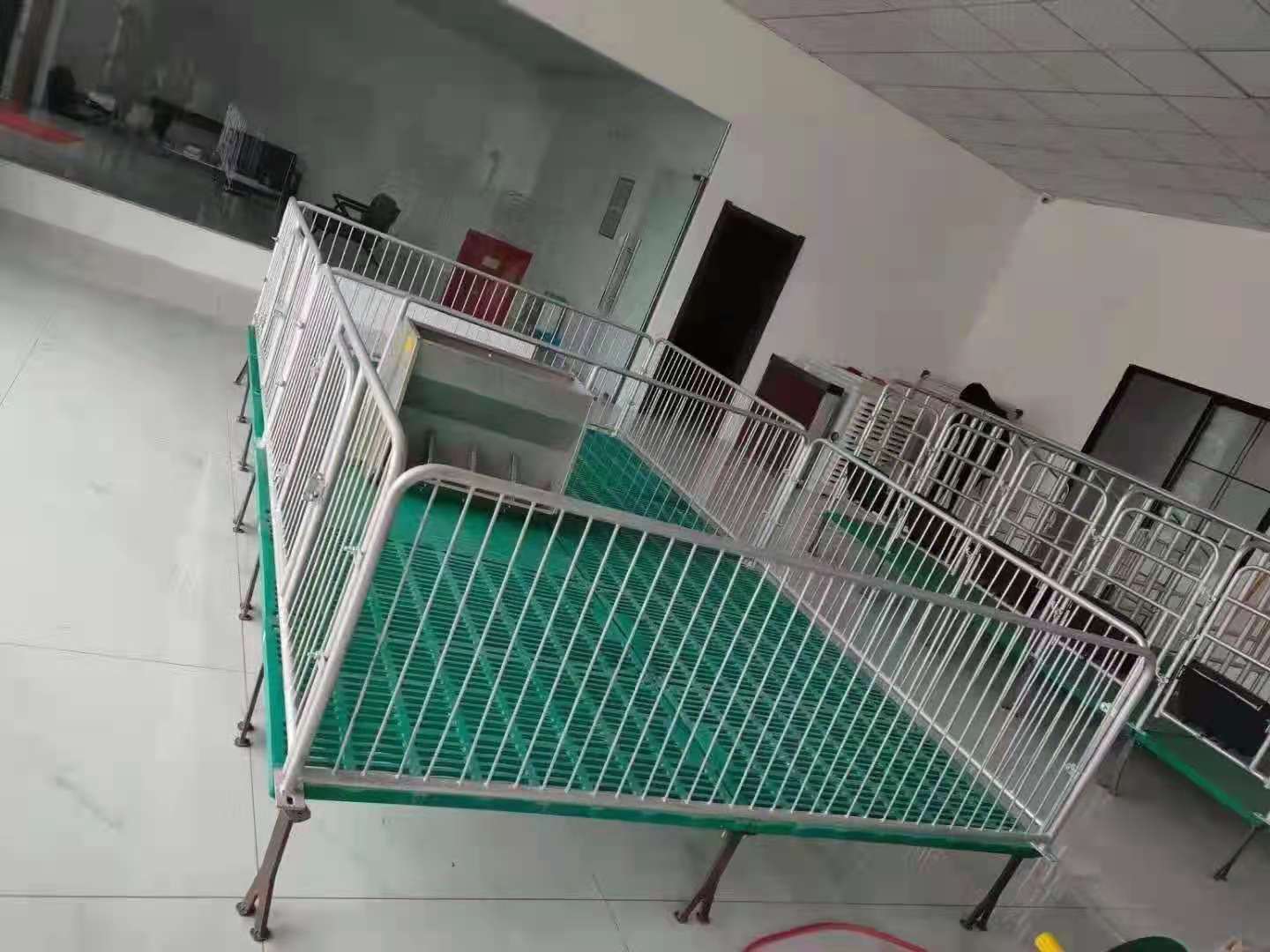 保育床仔豬保育欄小豬保育床復合板保育床復合漏糞保育欄