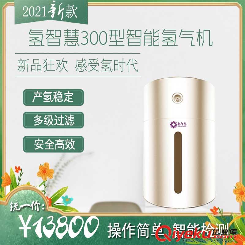 家用氫氣機(jī)300型